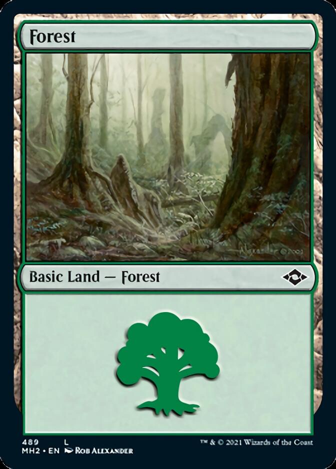 Forest (489) [Modern Horizons 2] MTG Single Magic: The Gathering | Red Claw Gaming