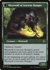 Sage of Ancient Lore // Werewolf of Ancient Hunger [Shadows over Innistrad] MTG Single Magic: The Gathering | Red Claw Gaming