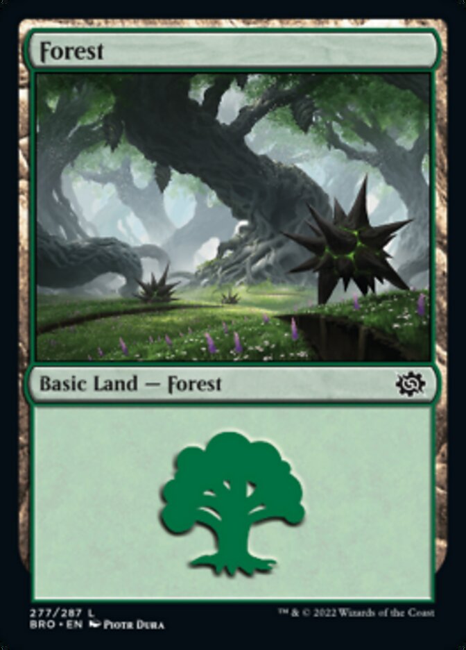 Forest (277) [The Brothers' War] MTG Single Magic: The Gathering | Red Claw Gaming