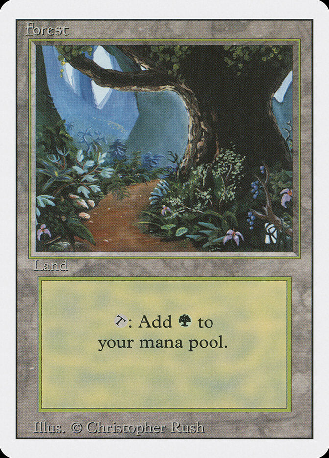 Forest (Flower Path) [Revised Edition] MTG Single Magic: The Gathering | Red Claw Gaming