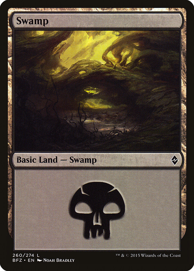 Swamp (260) [Battle for Zendikar] MTG Single Magic: The Gathering | Red Claw Gaming