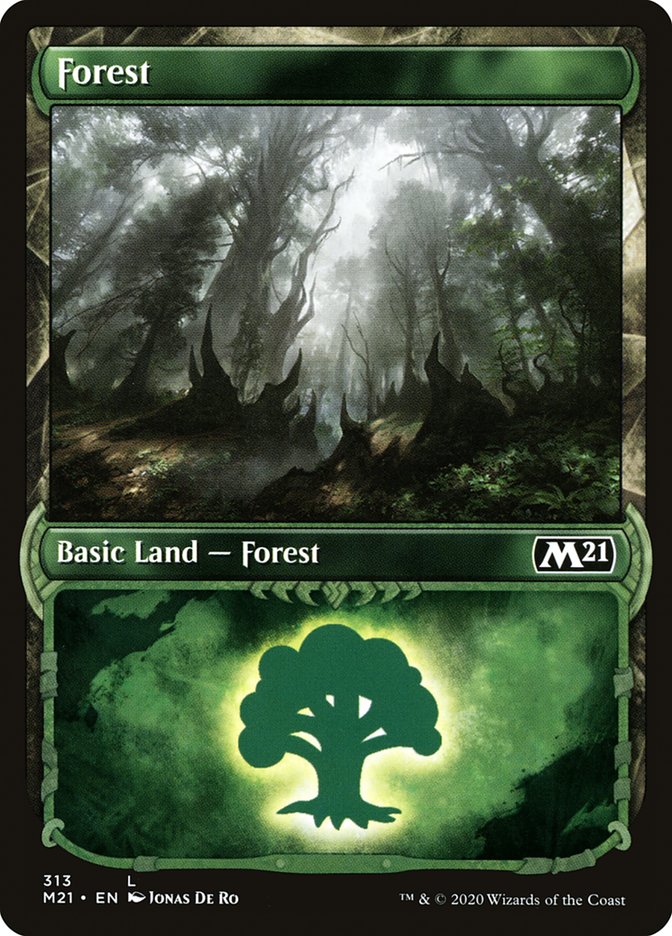 Forest (313) (Showcase) [Core Set 2021] MTG Single Magic: The Gathering | Red Claw Gaming