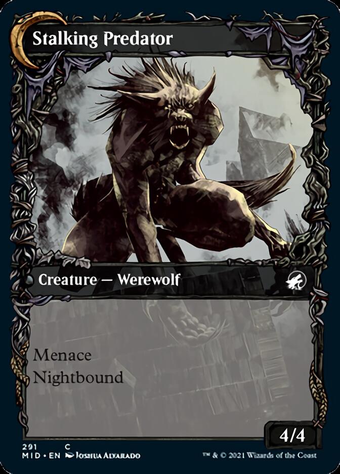 Shady Traveler // Stalking Predator (Showcase Equinox) [Innistrad: Midnight Hunt] MTG Single Magic: The Gathering | Red Claw Gaming