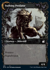 Shady Traveler // Stalking Predator (Showcase Equinox) [Innistrad: Midnight Hunt] MTG Single Magic: The Gathering | Red Claw Gaming
