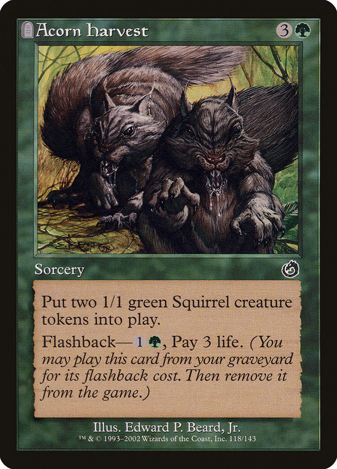 Acorn Harvest [Torment] MTG Single Magic: The Gathering | Red Claw Gaming