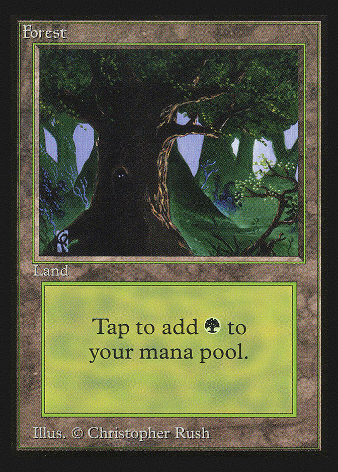 Forest (Eyes in Tree) [International Collectors' Edition] MTG Single Magic: The Gathering | Red Claw Gaming