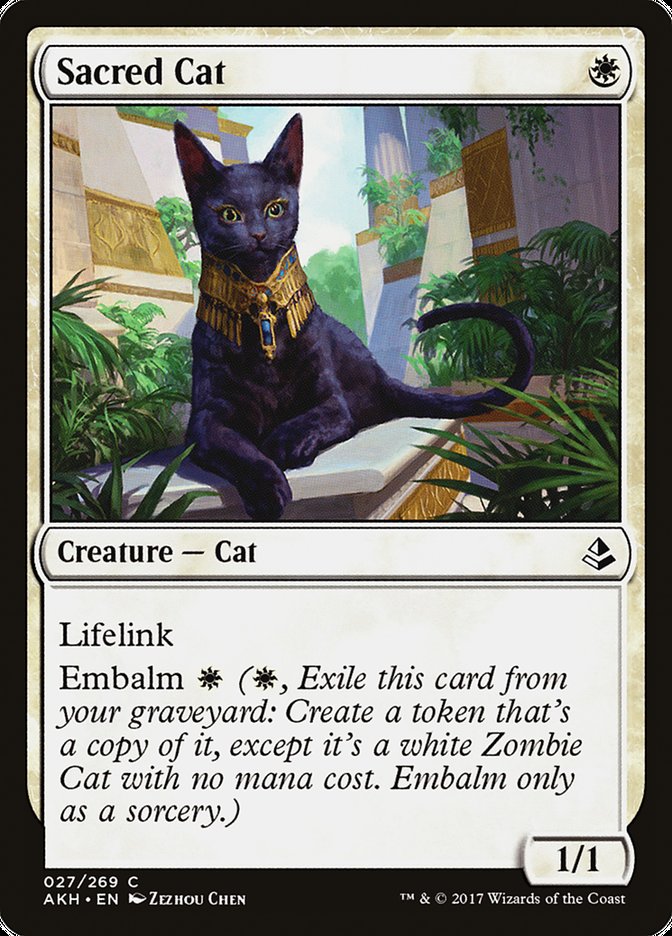 Sacred Cat [Amonkhet] MTG Single Magic: The Gathering | Red Claw Gaming