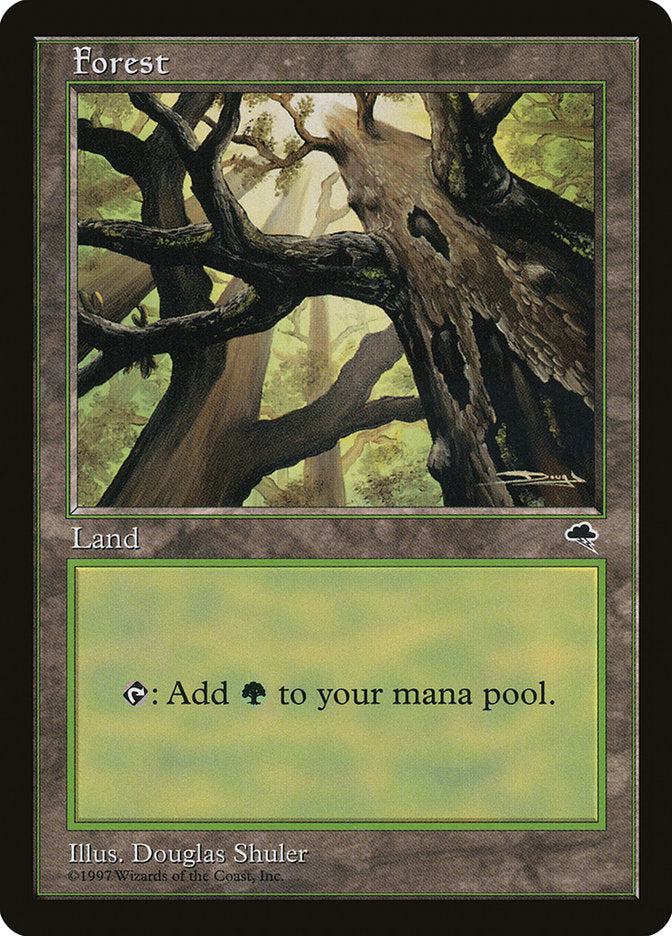 Forest (Looking from Below) [Tempest] MTG Single Magic: The Gathering | Red Claw Gaming