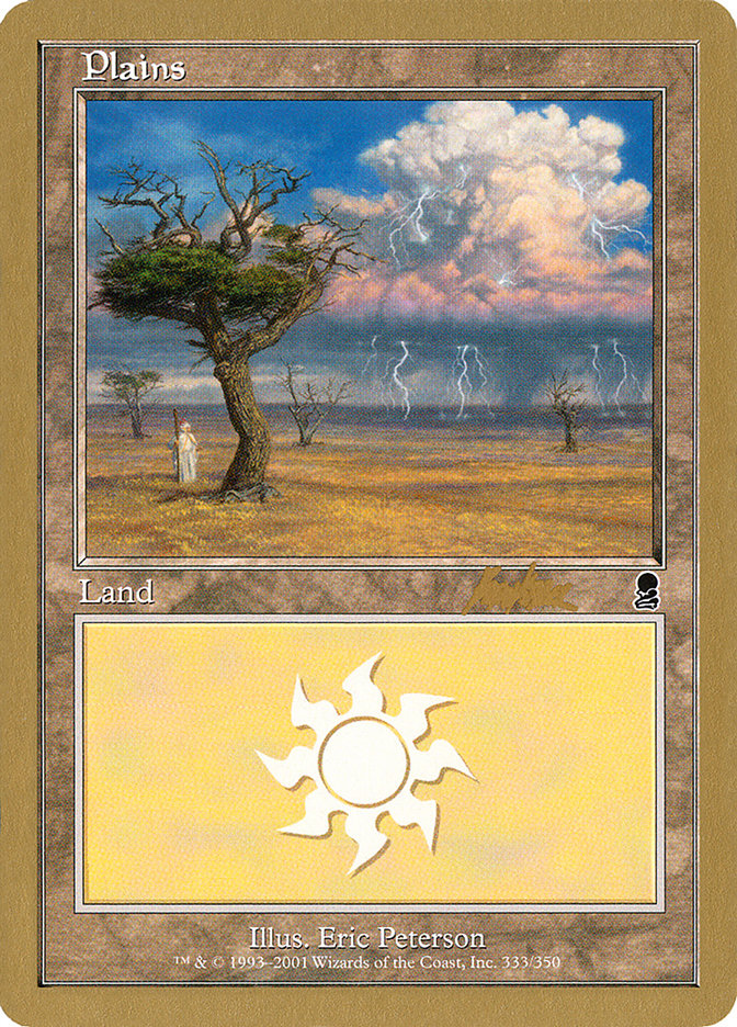 Plains (bk333) (Brian Kibler) [World Championship Decks 2002] MTG Single Magic: The Gathering | Red Claw Gaming