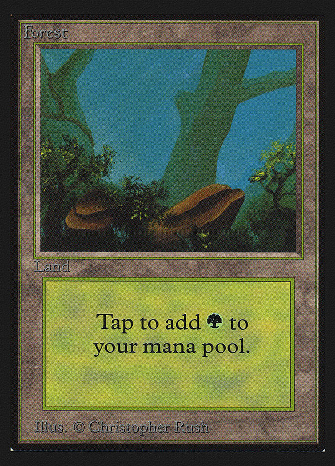 Forest (Two Stones) [International Collectors' Edition] MTG Single Magic: The Gathering | Red Claw Gaming