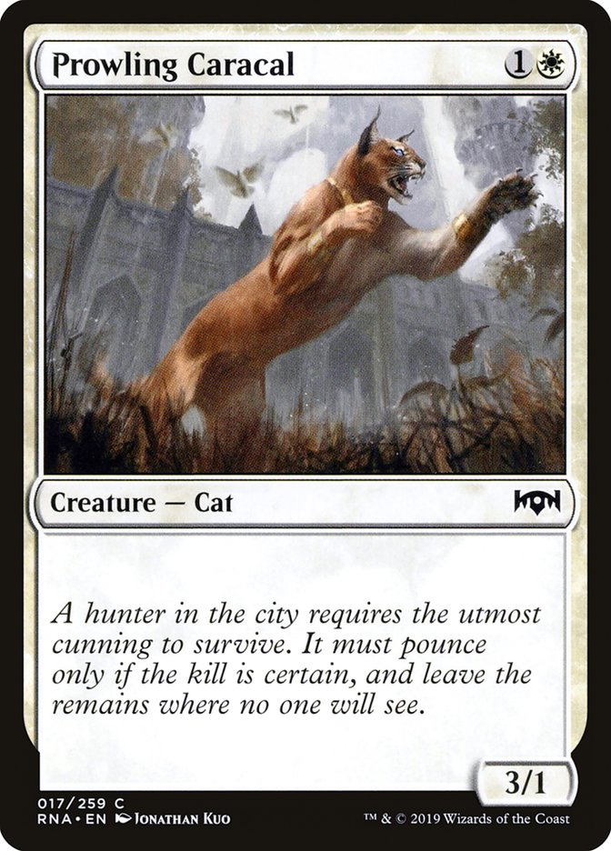 Prowling Caracal [Ravnica Allegiance] MTG Single Magic: The Gathering | Red Claw Gaming