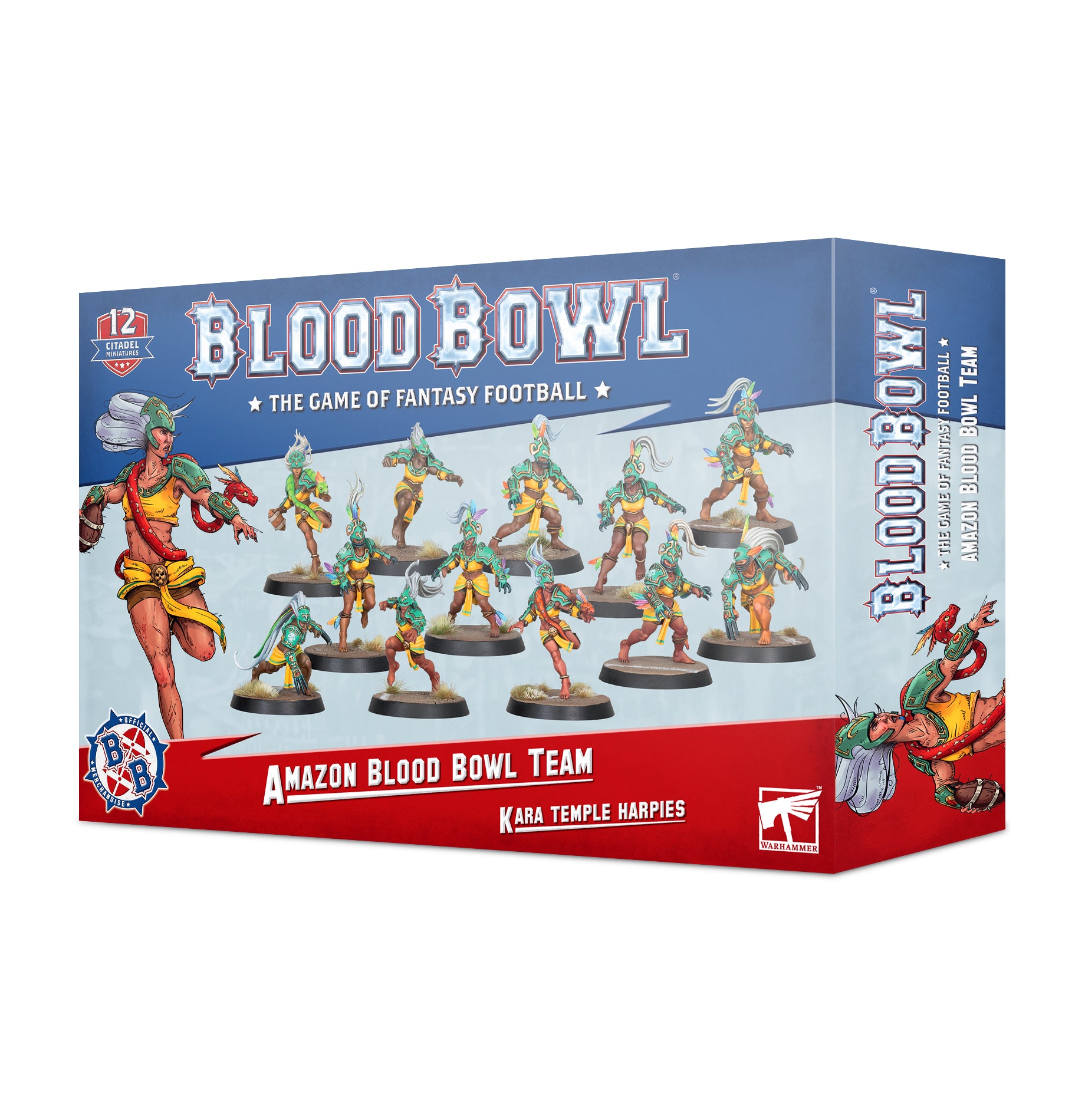 BLOOD BOWL: AMAZONS TEAM Blood Bowl Games Workshop Trade | Red Claw Gaming