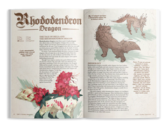 THE FIELD GUIDE TO FLORAL DRAGONS DELUXE SET D&D Book Hit Point Press | Red Claw Gaming