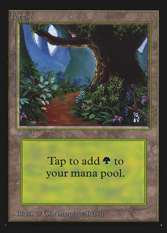 Forest (Flower Path) [International Collectors' Edition] MTG Single Magic: The Gathering    | Red Claw Gaming