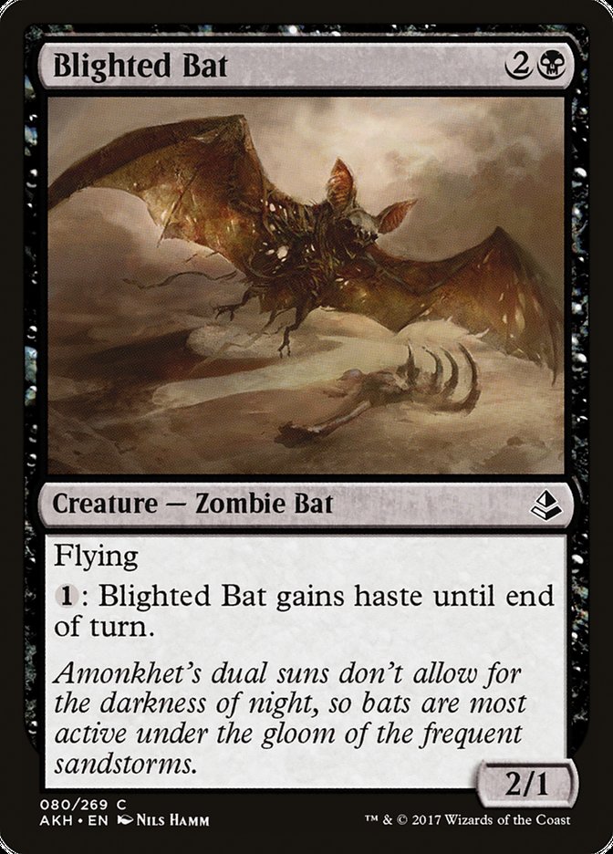 Blighted Bat [Amonkhet] MTG Single Magic: The Gathering    | Red Claw Gaming