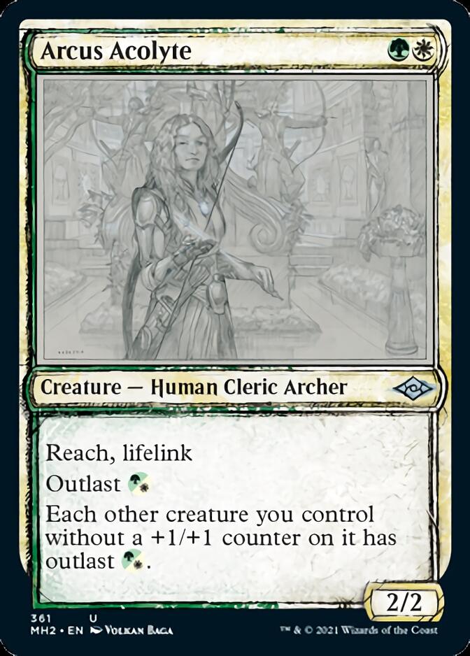 Arcus Acolyte (Sketch) [Modern Horizons 2] MTG Single Magic: The Gathering    | Red Claw Gaming