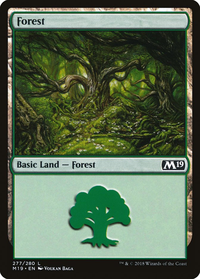 Forest (277) [Core Set 2019] MTG Single Magic: The Gathering    | Red Claw Gaming