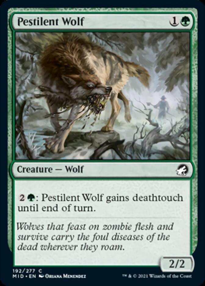 Pestilent Wolf [Innistrad: Midnight Hunt] MTG Single Magic: The Gathering    | Red Claw Gaming