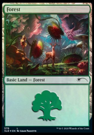 Forest (Predatory) (578) [Secret Lair Drop Promos] MTG Single Magic: The Gathering    | Red Claw Gaming
