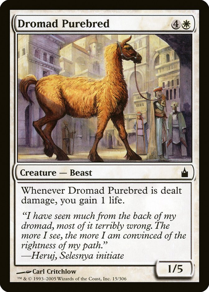 Dromad Purebred [Ravnica: City of Guilds] MTG Single Magic: The Gathering    | Red Claw Gaming