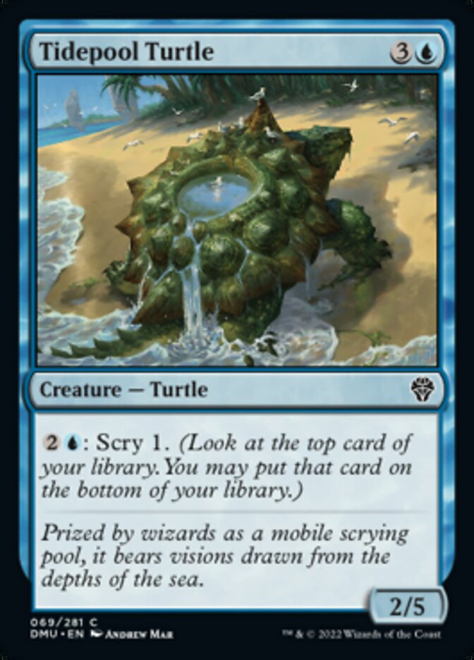 Tidepool Turtle [Dominaria United] MTG Single Magic: The Gathering    | Red Claw Gaming