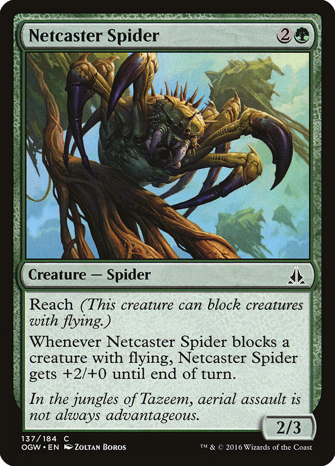Netcaster Spider [Oath of the Gatewatch] MTG Single Magic: The Gathering    | Red Claw Gaming
