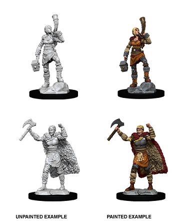 D&D Nolzur's Marvelous Miniatures: Human Barbarian Minatures Wizkids Games    | Red Claw Gaming