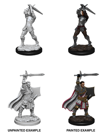 D&D Nolzur's Marvelous Miniatures: Human Paladin Minatures Wizkids Games    | Red Claw Gaming