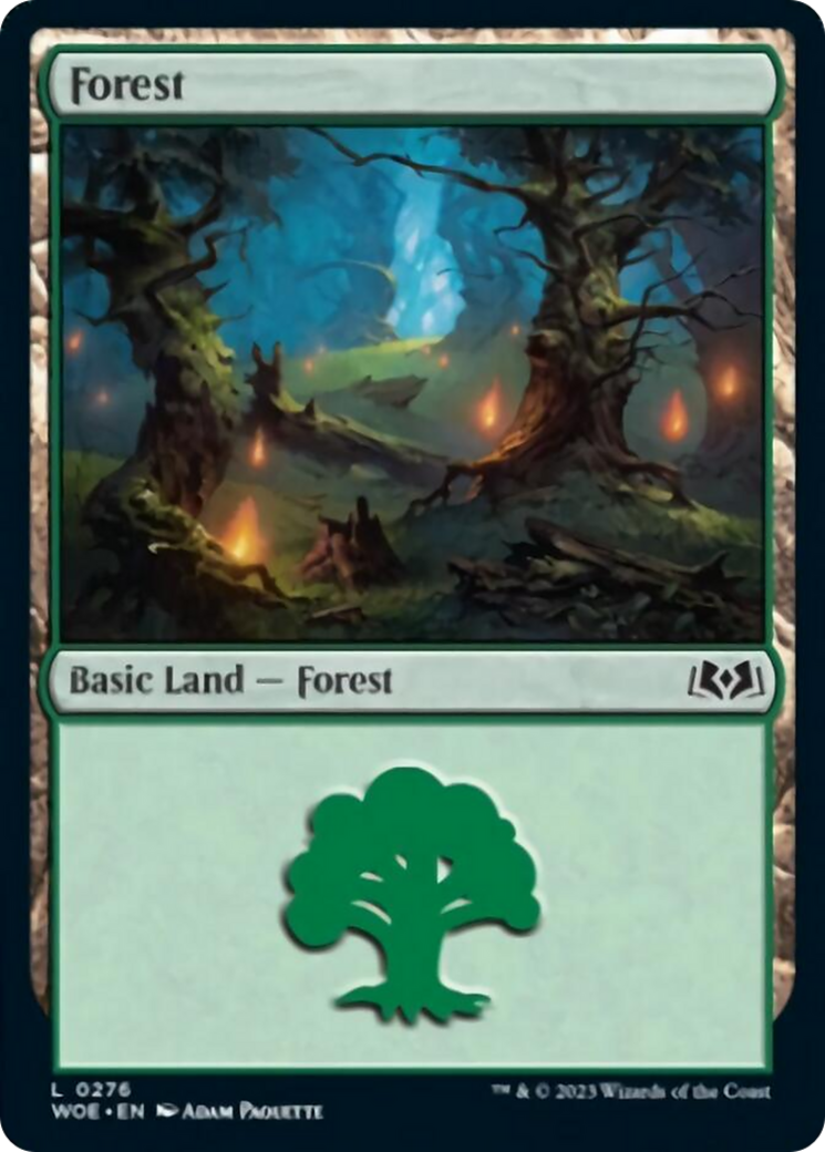 Forest (0276) [Wilds of Eldraine] MTG Single Magic: The Gathering    | Red Claw Gaming