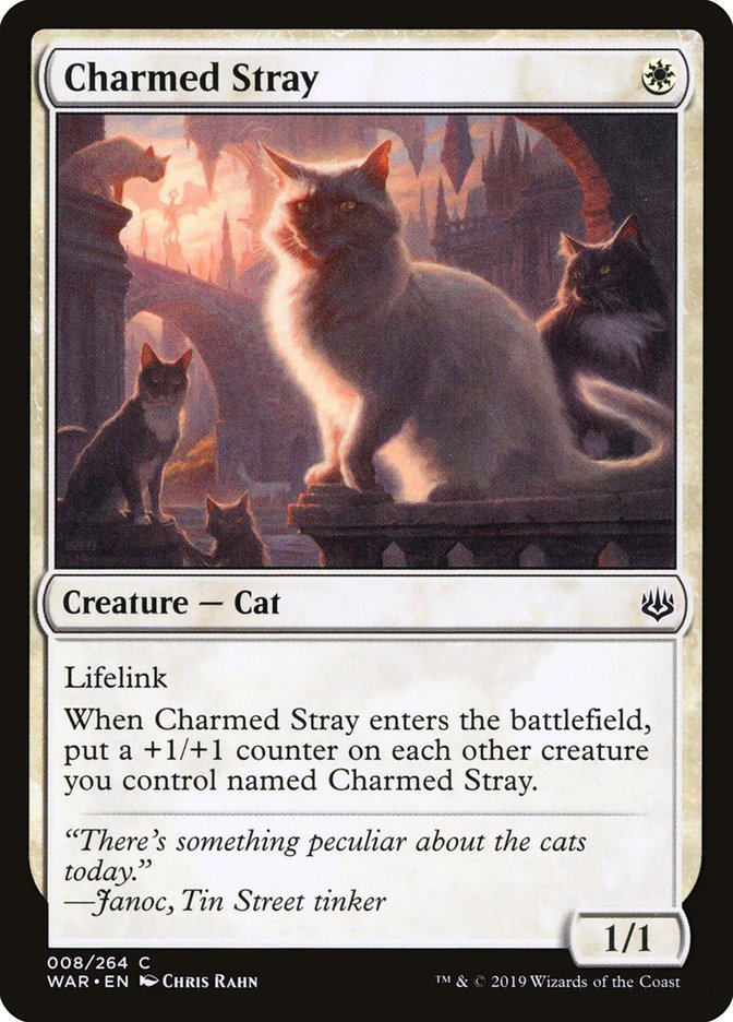 Charmed Stray [War of the Spark] MTG Single Magic: The Gathering    | Red Claw Gaming