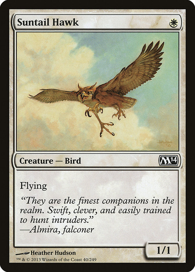 Suntail Hawk [Magic 2014] MTG Single Magic: The Gathering    | Red Claw Gaming