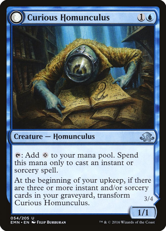 Curious Homunculus // Voracious Reader [Eldritch Moon] MTG Single Magic: The Gathering    | Red Claw Gaming