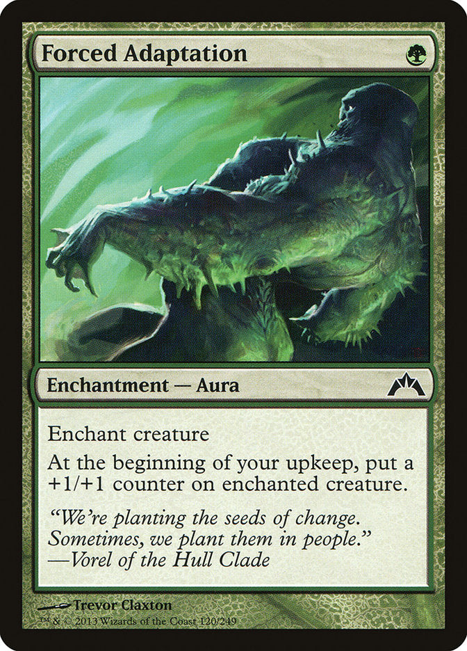Forced Adaptation [Gatecrash] MTG Single Magic: The Gathering    | Red Claw Gaming