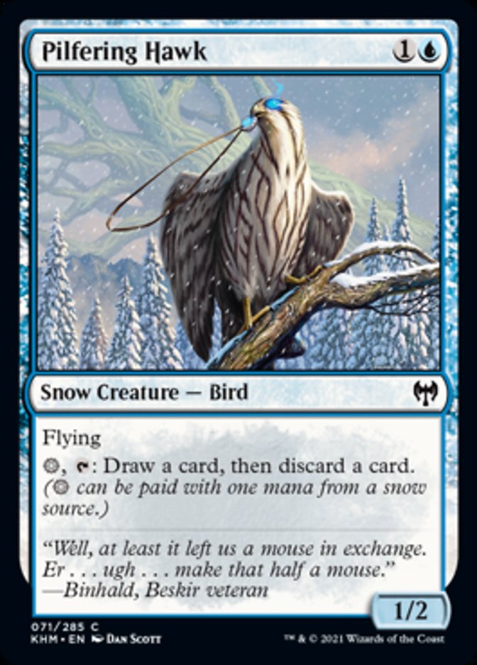 Pilfering Hawk [Kaldheim] MTG Single Magic: The Gathering    | Red Claw Gaming