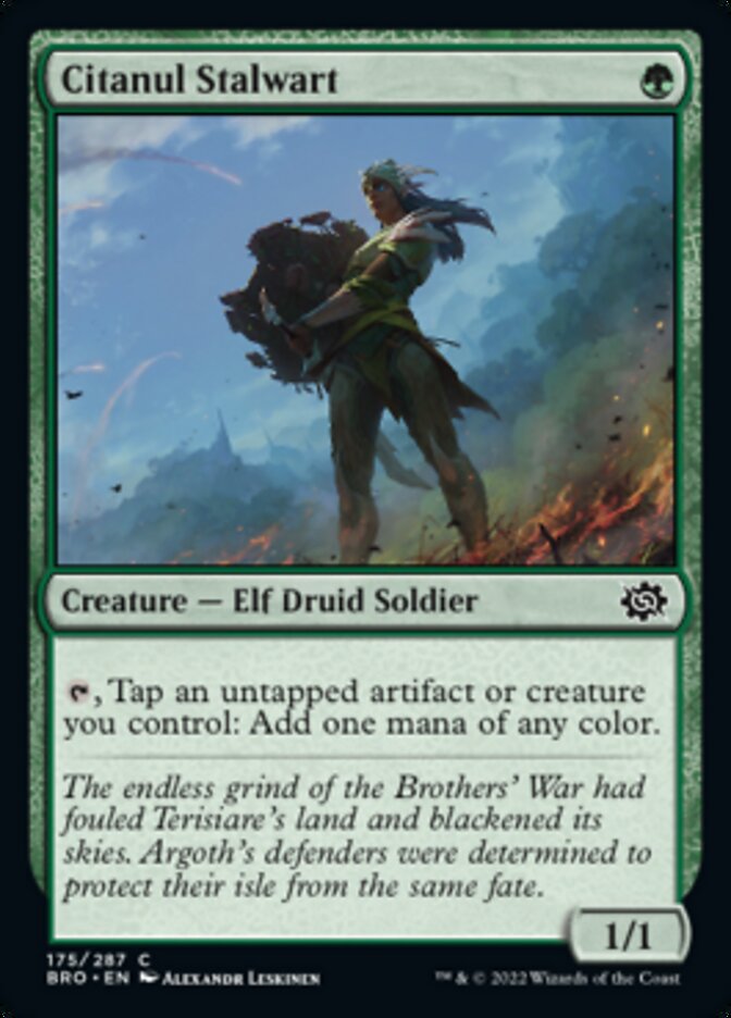 Citanul Stalwart [The Brothers' War] MTG Single Magic: The Gathering    | Red Claw Gaming