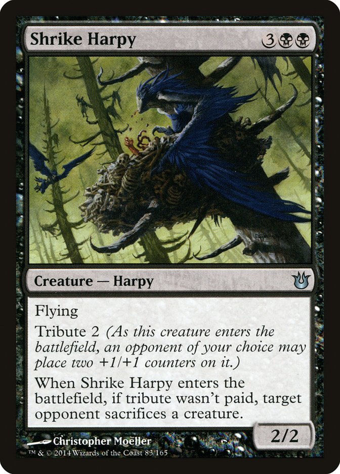 Shrike Harpy [Born of the Gods] MTG Single Magic: The Gathering    | Red Claw Gaming