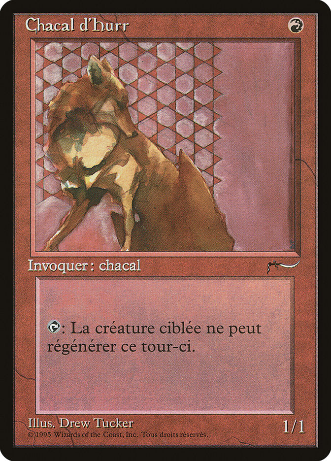 Hurr Jackal (French) - "Chacal d'Hurr" [Renaissance] MTG Single Magic: The Gathering    | Red Claw Gaming
