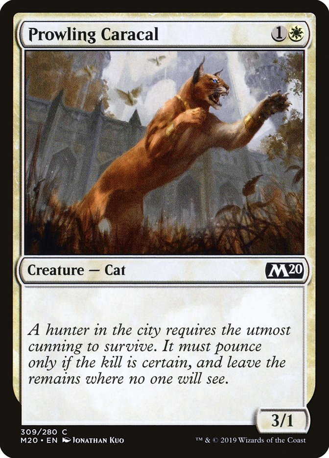 Prowling Caracal [Core Set 2020] MTG Single Magic: The Gathering    | Red Claw Gaming