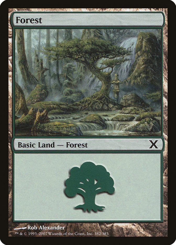 Forest (382) [Tenth Edition] MTG Single Magic: The Gathering    | Red Claw Gaming