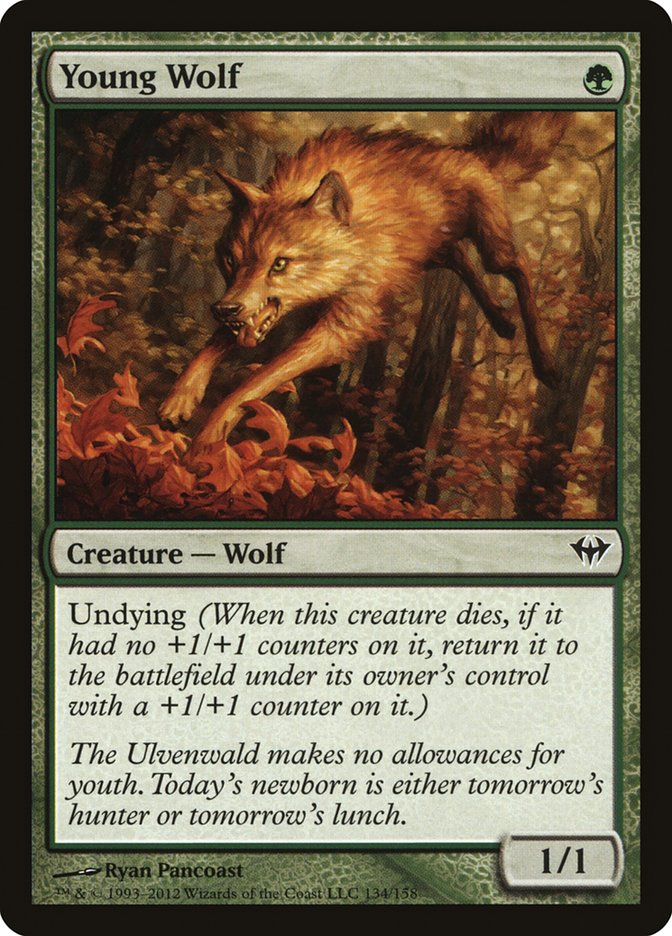 Young Wolf [Dark Ascension] MTG Single Magic: The Gathering    | Red Claw Gaming