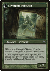 Lambholt Elder // Silverpelt Werewolf [Dark Ascension] MTG Single Magic: The Gathering    | Red Claw Gaming