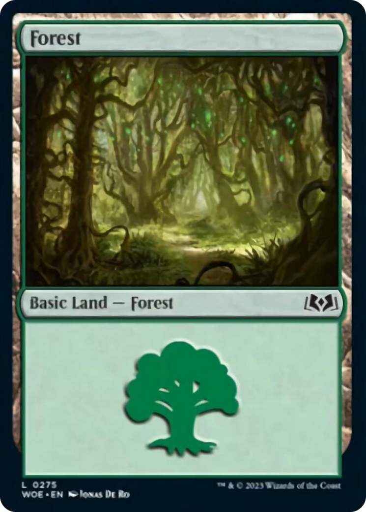 Forest (0275) [Wilds of Eldraine] MTG Single Magic: The Gathering    | Red Claw Gaming