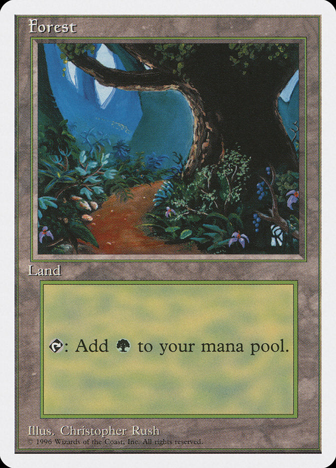Forest (Dirt Path) [Introductory Two-Player Set] MTG Single Magic: The Gathering    | Red Claw Gaming