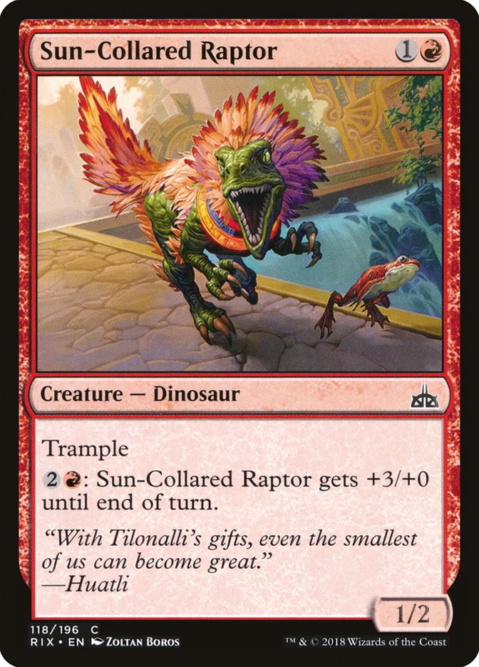 Sun-Collared Raptor [Rivals of Ixalan] MTG Single Magic: The Gathering    | Red Claw Gaming