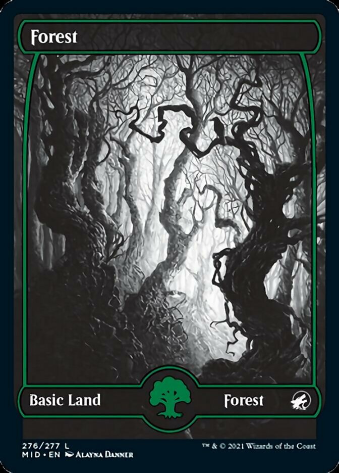 Forest (276) [Innistrad: Midnight Hunt] MTG Single Magic: The Gathering    | Red Claw Gaming