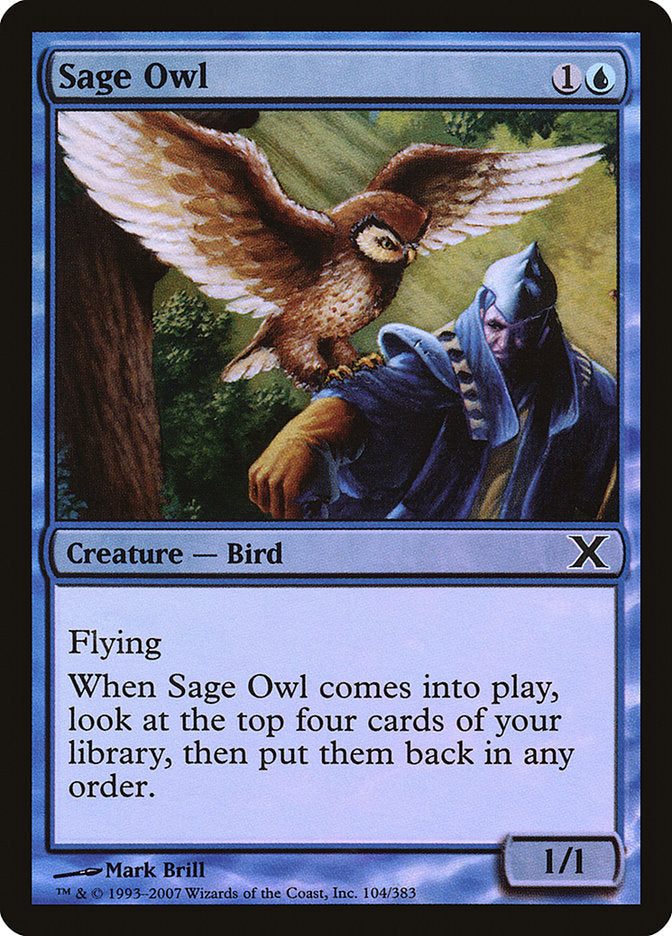 Sage Owl (Premium Foil) [Tenth Edition] MTG Single Magic: The Gathering    | Red Claw Gaming