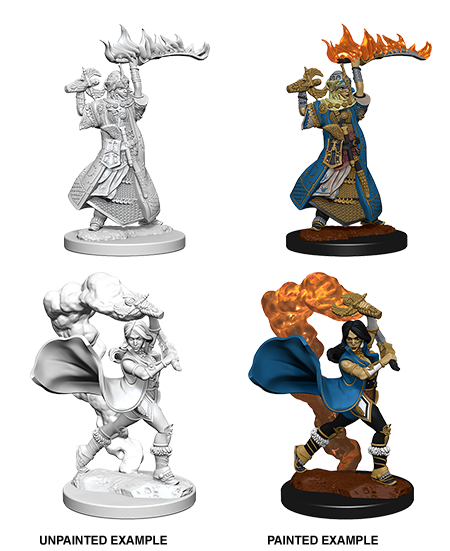 Pathfinder Deep Cuts Unpainted Minis: Human Female Cleric Minatures Wizkids Games    | Red Claw Gaming