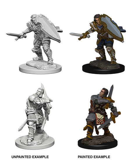 D&D Nolzur's Marvelous Miniatures: Human Paladin Minatures Wizkids Games    | Red Claw Gaming
