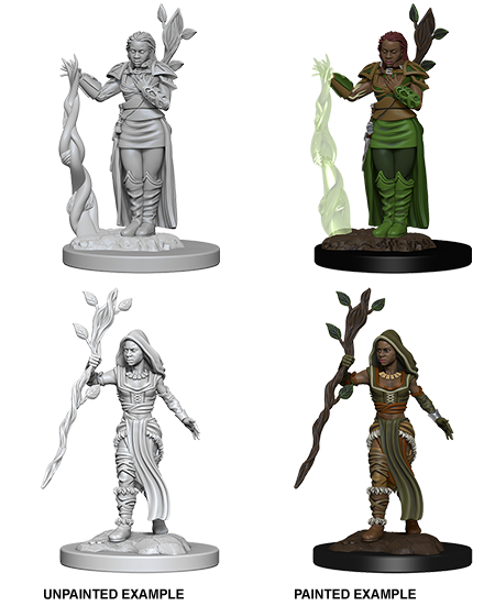 D&D Nolzur's Marvelous Miniatures: Human Druid Minatures Wizkids Games    | Red Claw Gaming
