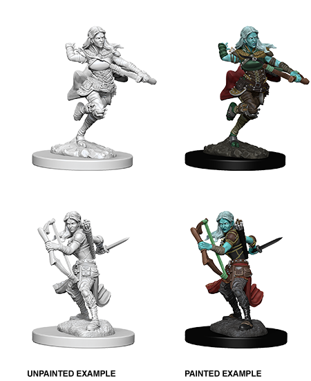 D&D Nolzur's Marvelous Miniatures: Air Genasi Rogue Minatures Wizkids Games    | Red Claw Gaming